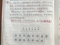 我爱你，不是说说开道之已好词好句
