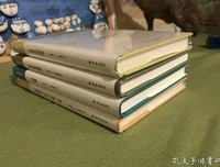 抬高房梁，木匠们；西摩：小传读后感100字