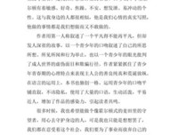 《麦田里的守望者》经典读后感有感