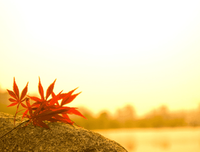 Something always inspiring me的优美句子