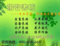 关于爱默生的句子