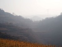 生活使我变得更加坚强