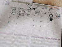 《把小日子收进手帐里》读后感1000字
