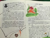《不惧风暴》观后感摘抄