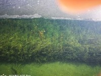 《美丽的星期天》经典观后感有感