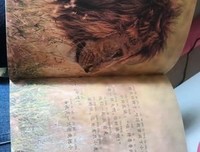 我在伦敦买了一头狮子读后感100字