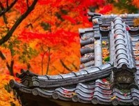 人到中年，最高境界：1个字！