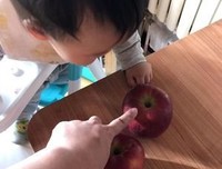 有关认我数感的橘子的句子