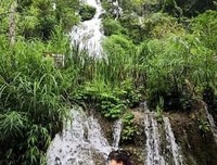 2021魅夜水草的名言