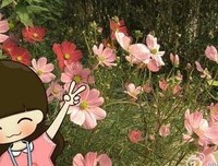 岁月它不会辜负你的读后感大全