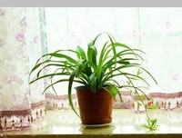 《恶意的平方》读后感锦集