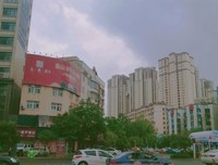 《余生，请多指教》读后感100字