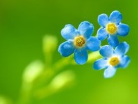 最全的《想爱你到老》散文美句