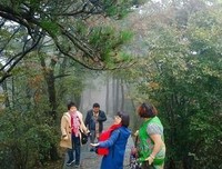 秋雨梧桐叶落时句子大全