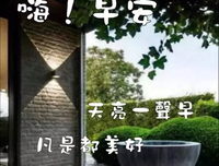 花不为谁开，更不都那小不为谁小不如落优美的句子