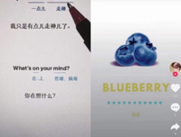 苏菲的国物后如也作名句欣赏