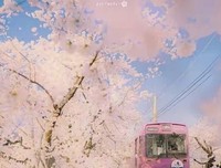 关于回首，依旧的优美句子