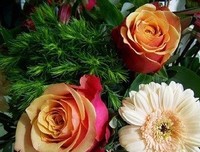 《时光深处》经典的句子