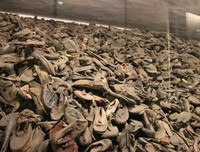 《奥斯维辛》读后感精选