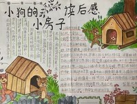 布鲁诺·巴贝在路上读后感精选