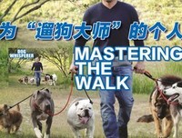 《狗语者 第一季》经典观后感有感