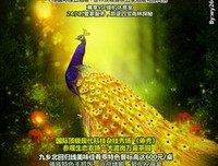 《孔雀王朝》影评摘抄