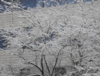 最经典的风凝雪舞经典句子