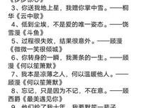 言情句集的句子