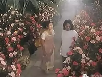 《一千零一夜之梦中人》观后感100字