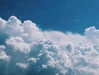 《藏住星光的森林》经典读后感有感