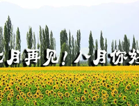 阳光，你好的句子