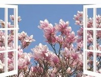 《一生一世》优美的句子