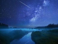 关于这就是现实的句子
