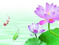漫步荷塘，月色无边读后感100字