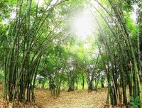 后会无期句子