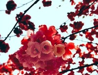 人生只有一次，无须胆怯！只要人在，信心在，一切皆有