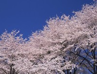 《湛蓝天空下》影评精选