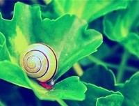 目空一切的语句摘抄_关于目空一切的语句