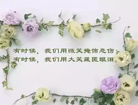 触动人心经典的句子