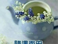 美丽的句子