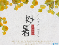 关于冷风的优美句子