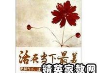 总有一天，你会活成自己想要的模样读后感100字