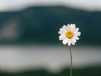 放下别人的错，解救自己的心（深度好文）​