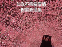 关于追星的优美句子