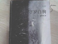 青春，大老师的优美句子