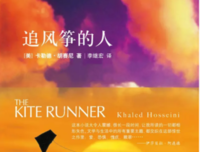 《公主的风筝》经典读后感有感