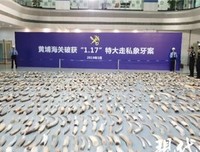《血腥数字》经典观后感集