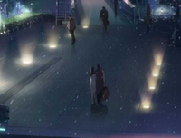 秒速五厘米的句子