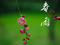 阿富汗谚语名言