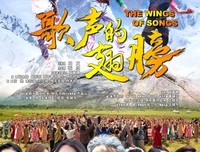 《歌声的翅膀》经典观后感集
